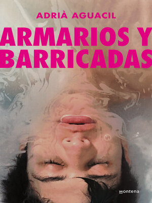 cover image of Armarios y barricadas